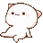 kedi